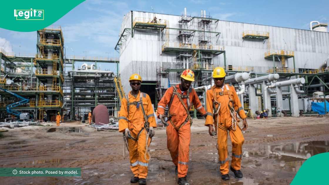 Dangote to welcome new persons to its workforce Dangote to welcome new persons to its workforce