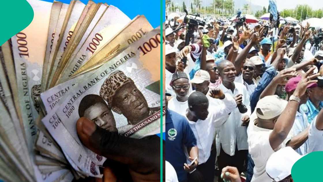 CONPSS salary scale shows clear progression for civil servants from entry to management positions.