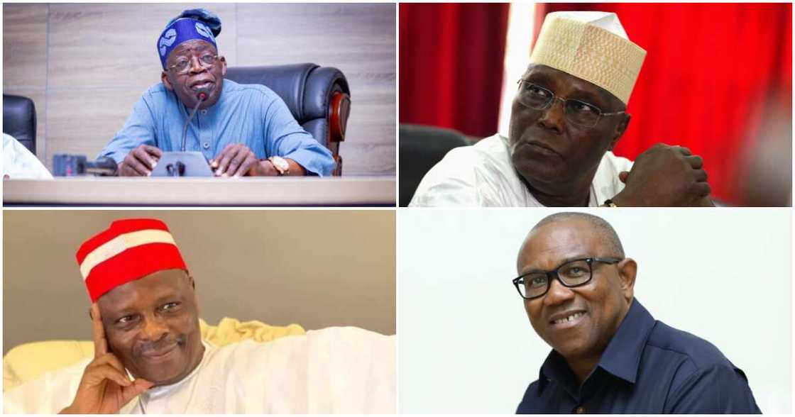 Peter Obi, Bola Tinubu, Rabiu Kwankwaso, Atiku Abubakar