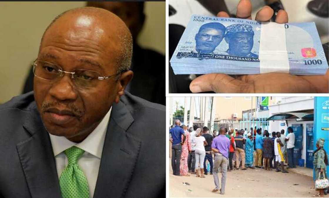 Expert lists 5 things CBN should have considered when introducing new naira notes Expert lists 5 things CBN should have considered when introducing new naira notes