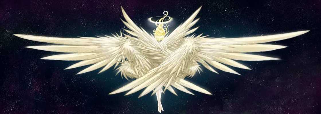 different types of angels different types of angels