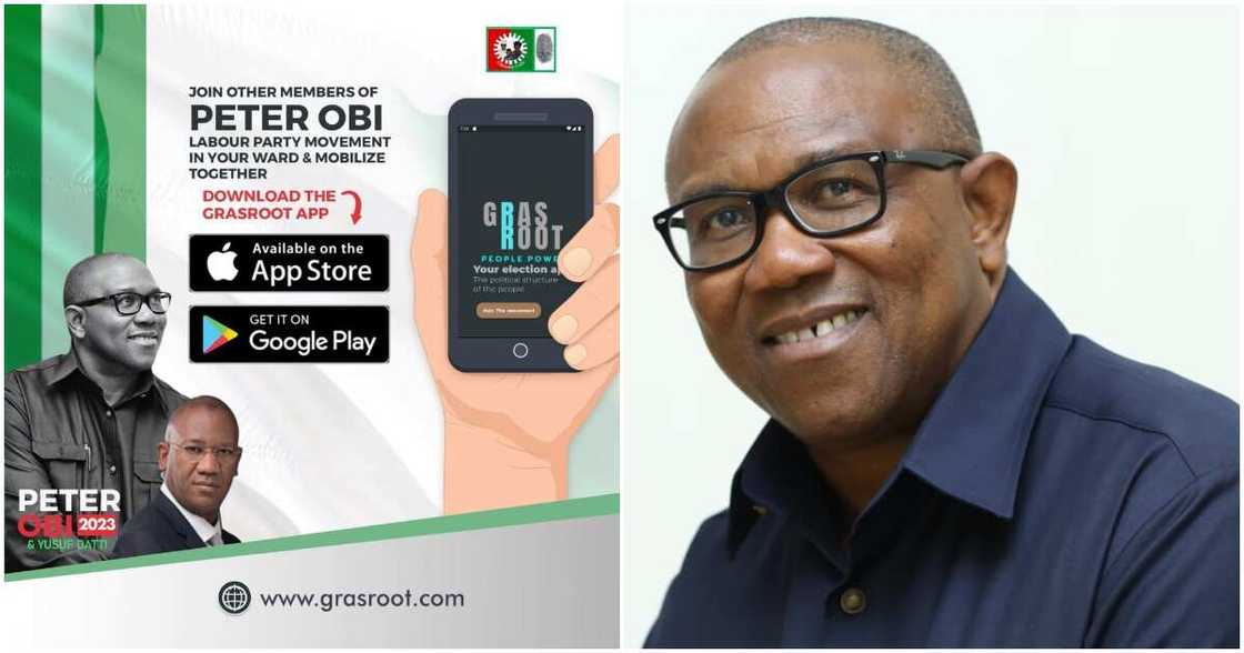 Peter Obi, 2023 election, Yusuf Datti, Labour Party Peter Obi, 2023 election, Yusuf Datti, Labour Party