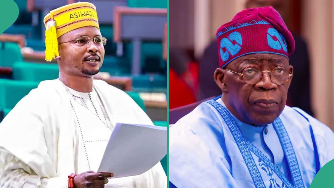Tinubu's tax bill: Kogi lawmaker suggests Hausa translation of proposed legislation Tinubu's tax bill: Kogi lawmaker suggests Hausa translation of proposed legislation
