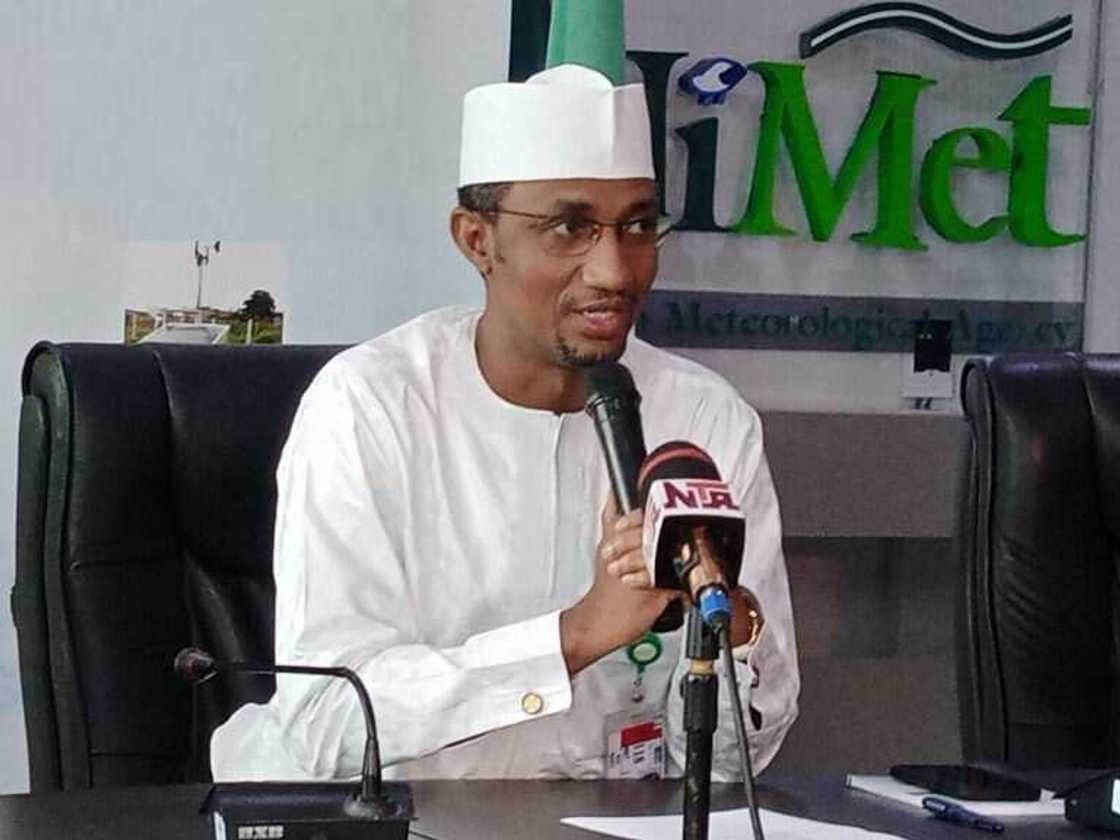 Professor Bako Matazu Professor Bako Matazu