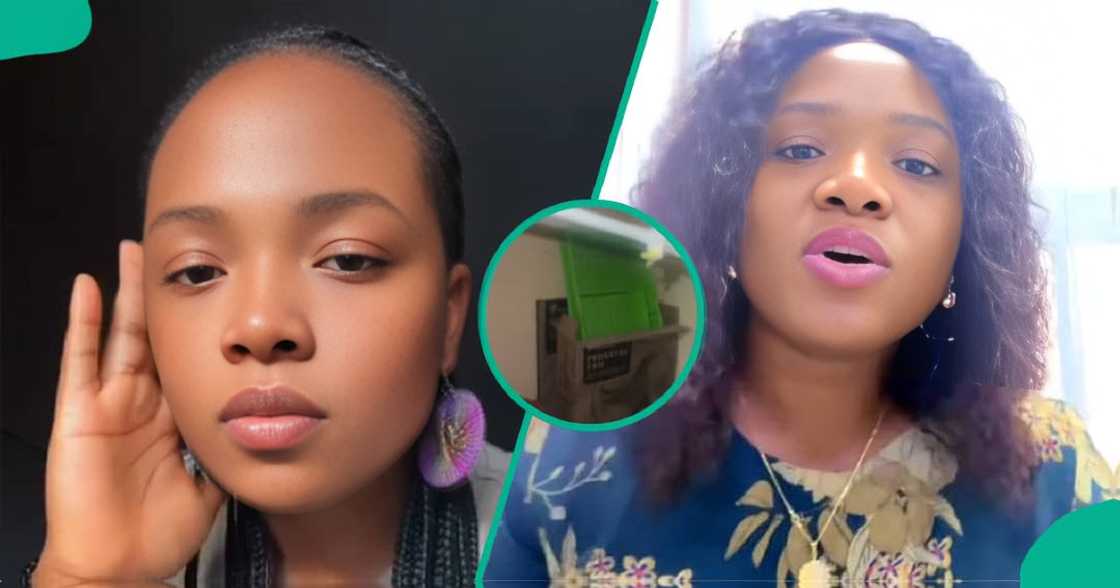 Lady meets unexpected 'tenant' after two months away from home. Lady meets unexpected 'tenant' after two months away from home.