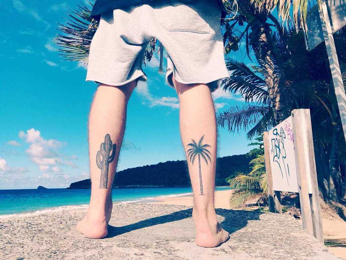 palm tree tattoo