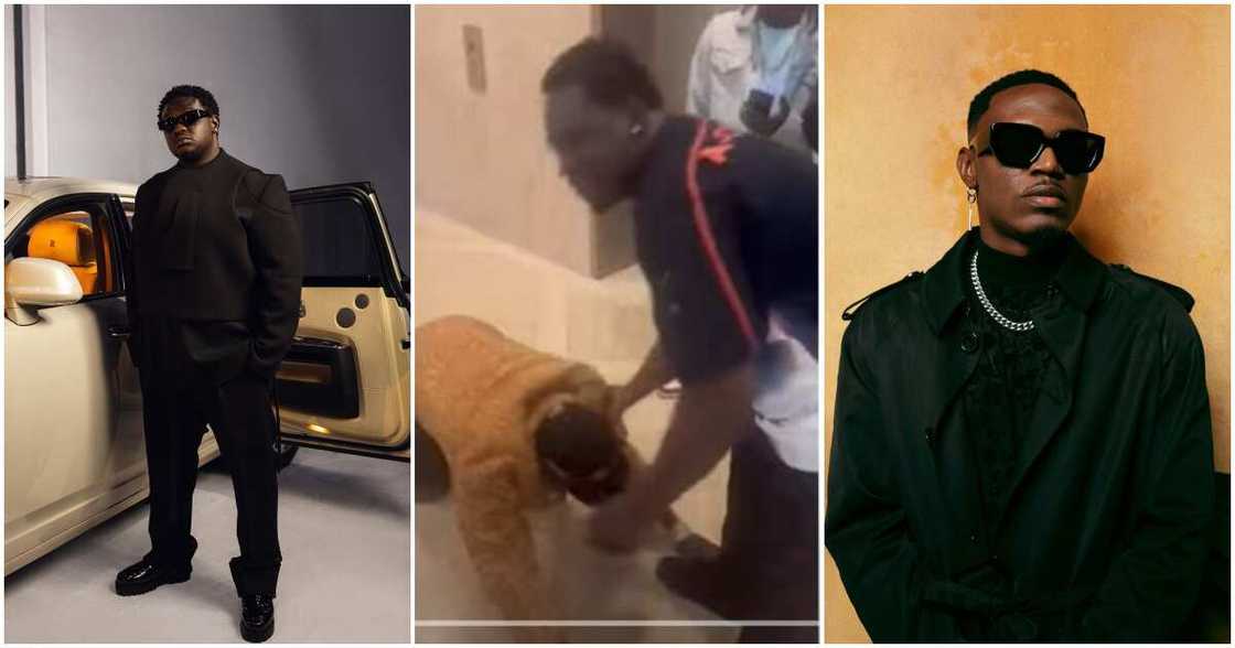 Photos of Wande Coal and Spryo Photos of Wande Coal and Spryo