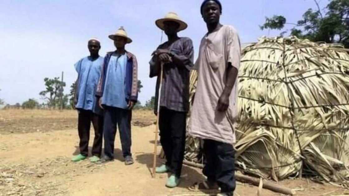 ISWAP sun tilasta wa manoman kauyukan Borno biyan haraji, sun ce zakkar gona ce ISWAP sun tilasta wa manoman kauyukan Borno biyan haraji, sun ce zakkar gona ce