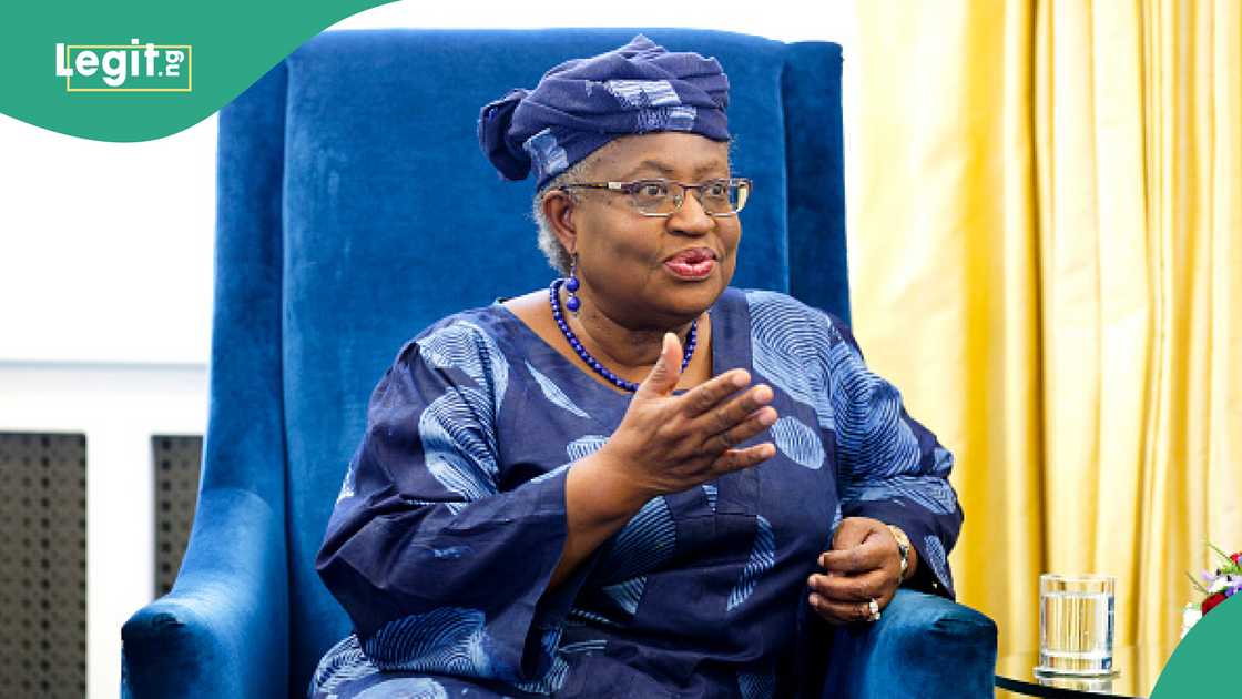 WTO boss speaks on way forward for Tinubu's government