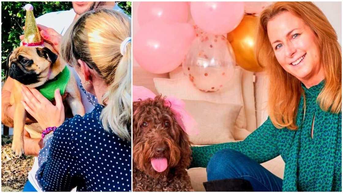 She said that she loves dogs and the job is helping her express her love. Photo source: UK Sun She said that she loves dogs and the job is helping her express her love. Photo source: UK Sun