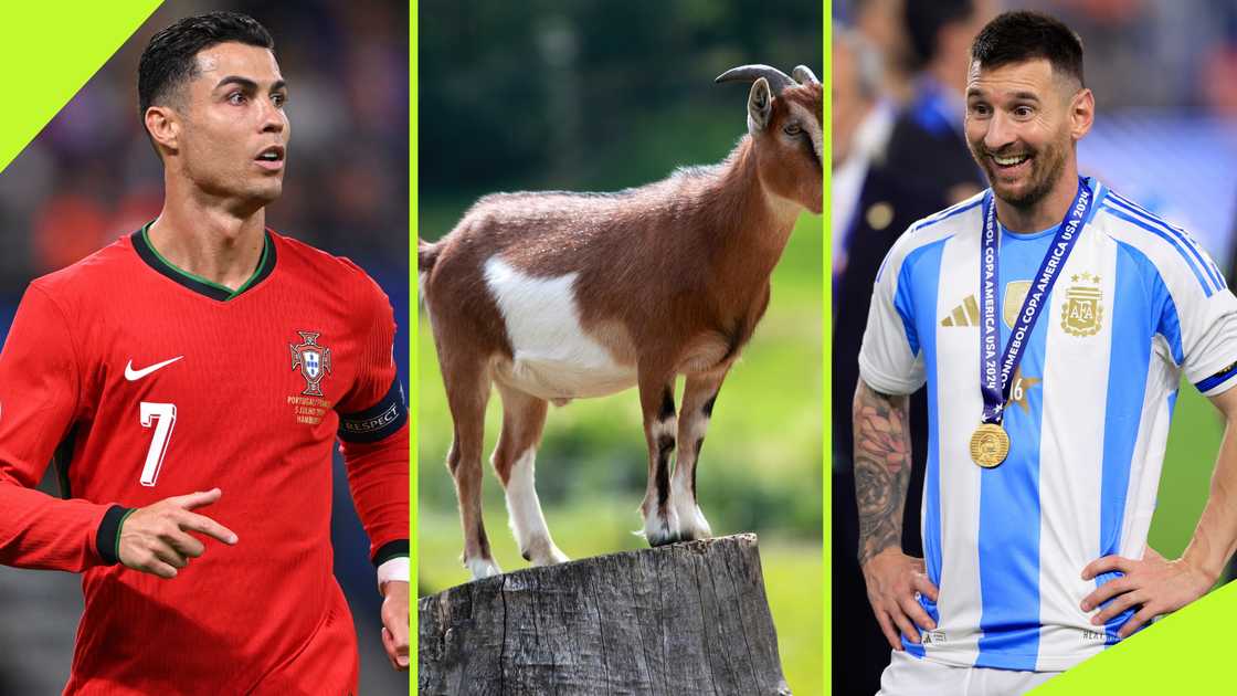 Cristiano Ronaldo brutally told Lionel Messi wins GOAT debate 'by far' Cristiano Ronaldo brutally told Lionel Messi wins GOAT debate 'by far'