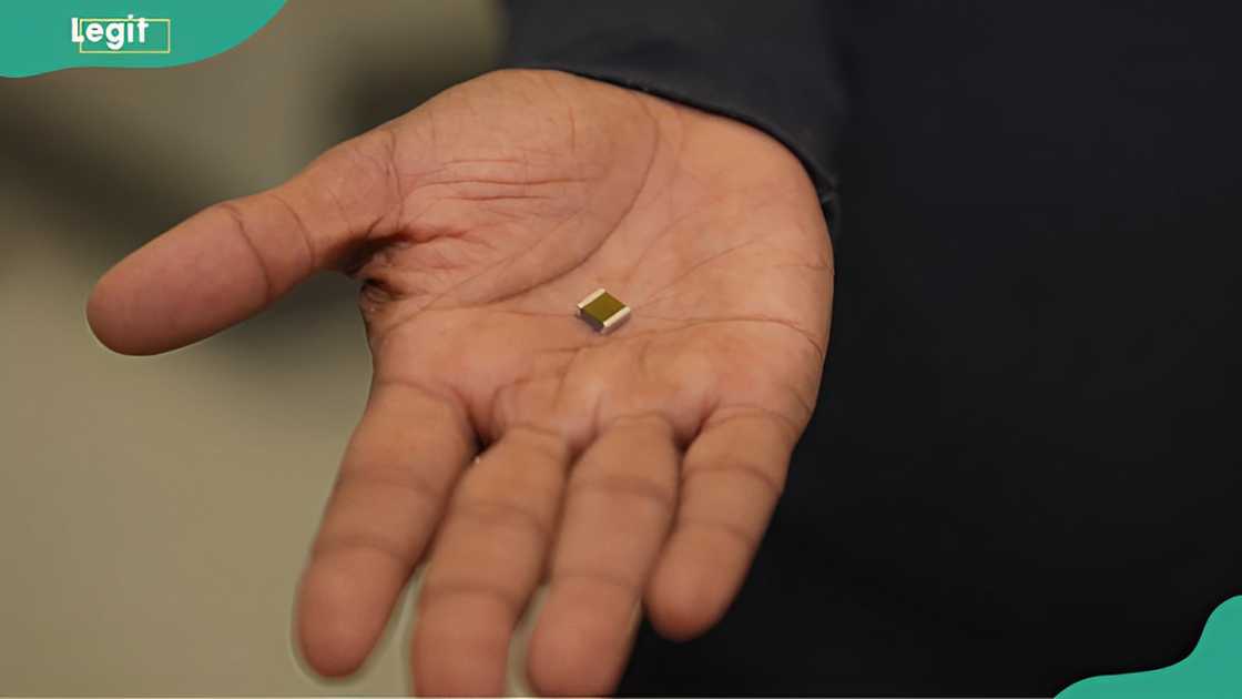 A person holding the smallest battery on the hand A person holding the smallest battery on the hand