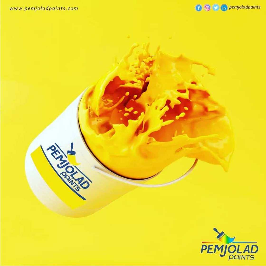 Pemjolad Paints: Changing the Painting Narratives in Nigeria Pemjolad Paints: Changing the Painting Narratives in Nigeria
