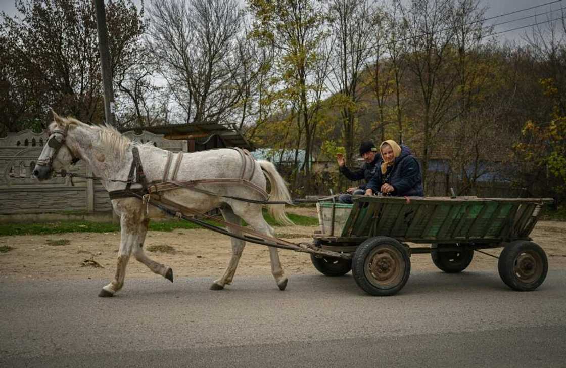 No oil needed: villagers use a horse and cart in Tibirica, Moldova No oil needed: villagers use a horse and cart in Tibirica, Moldova