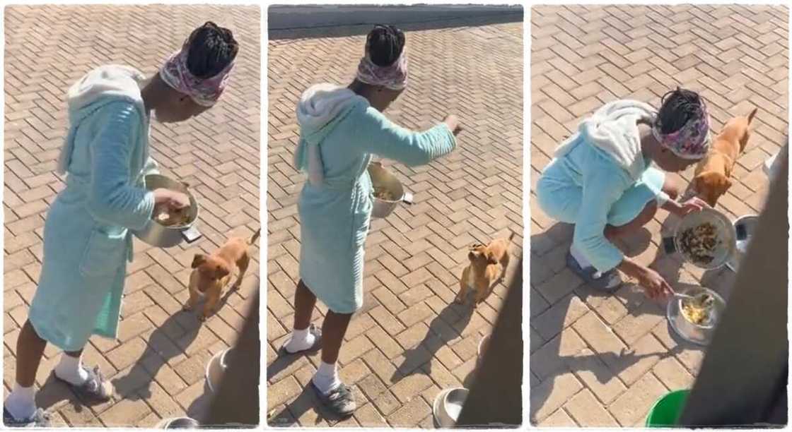 Lady spotted eating food meant for a dog.