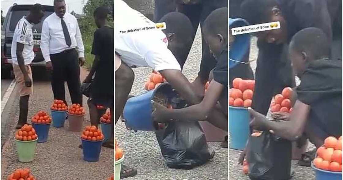 Roadside tomato sellers accused of scam
Photo Credit: @stephlyn12 / TikTok Roadside tomato sellers accused of scam
Photo Credit: @stephlyn12 / TikTok