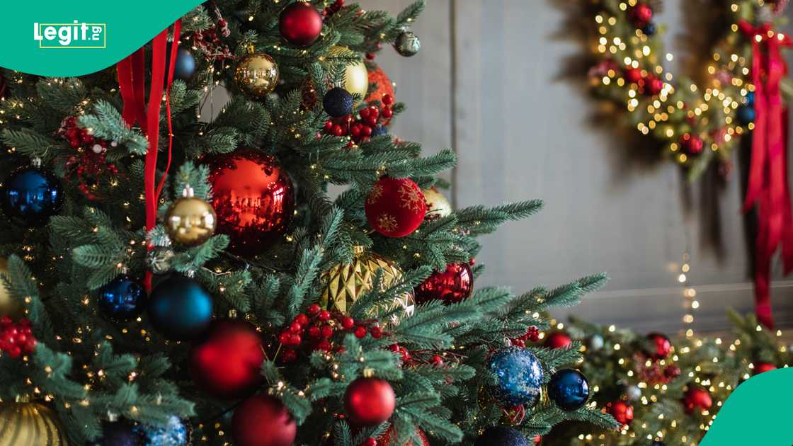 Unveiling the mystique of Christmas, 9 essential facts you need to know