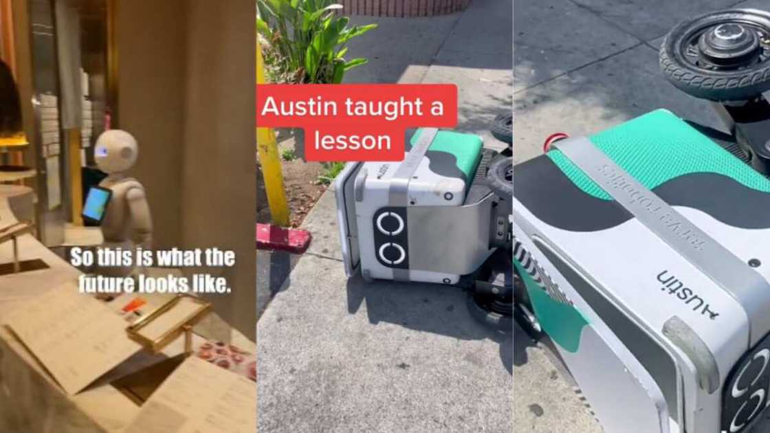 Robot gets knocked over after its food was taken Robot gets knocked over after its food was taken