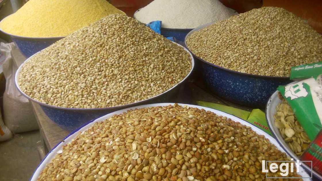 The cost of purchase of beans rises further in he market as informed by sellers. Photo credit: Esther Odili The cost of purchase of beans rises further in he market as informed by sellers. Photo credit: Esther Odili