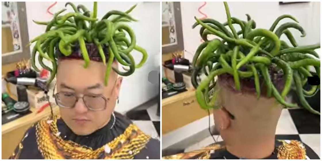 Hairstyle Hairstyle