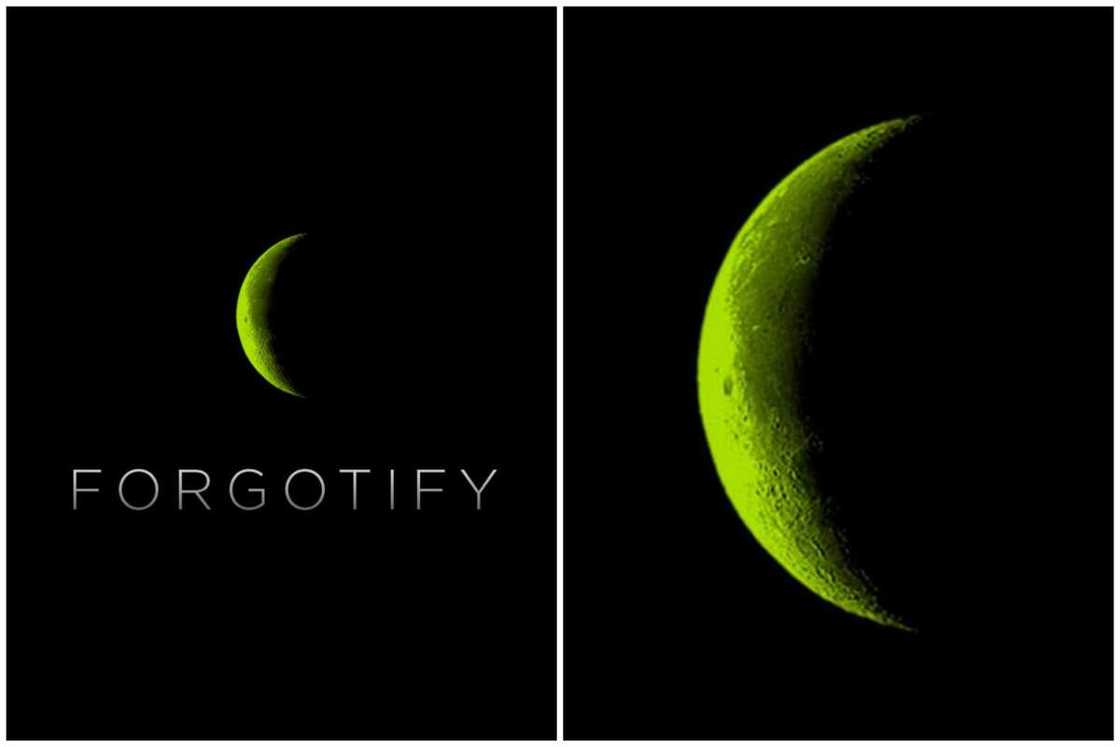 coolest websites coolest websites