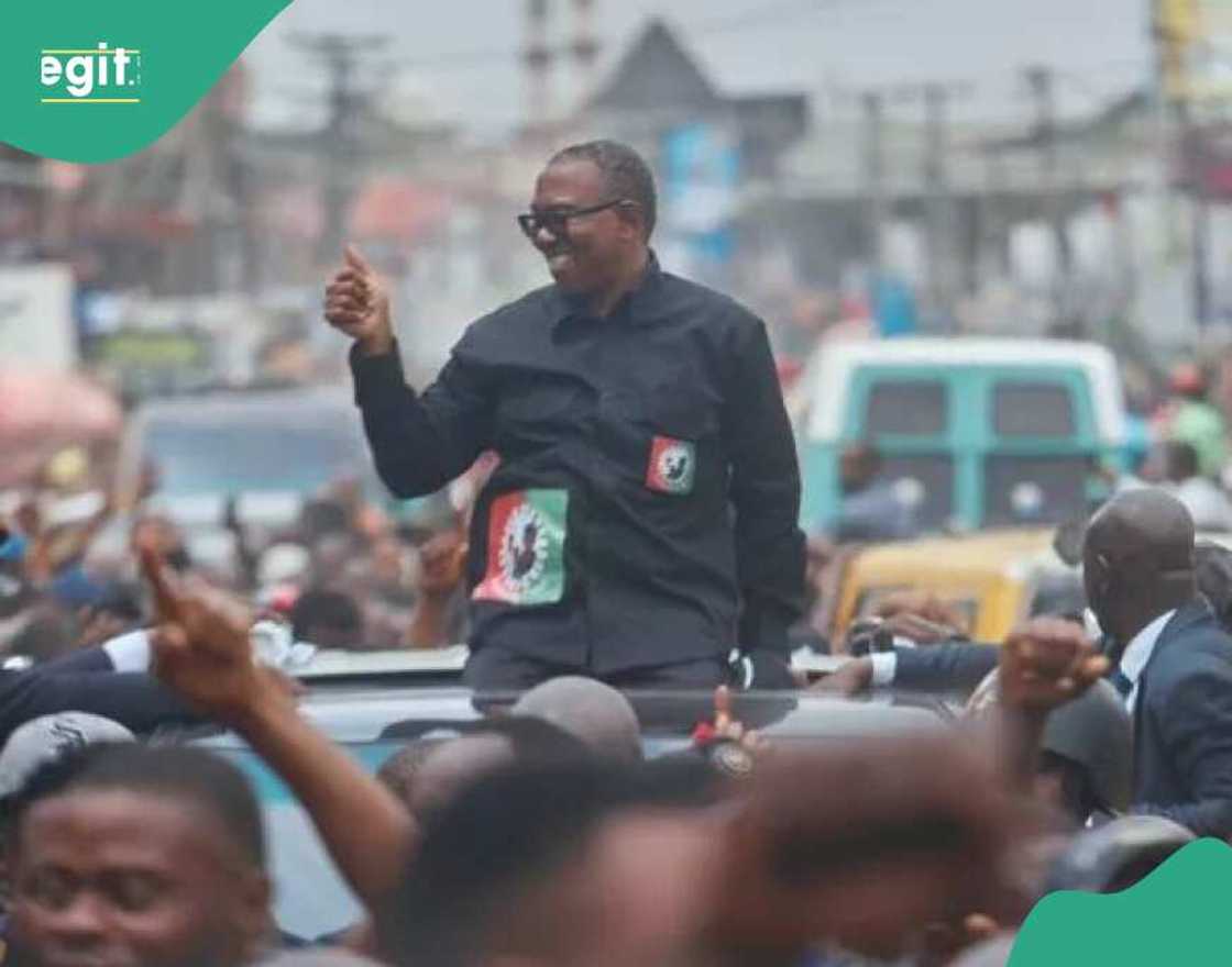 LP ta zargi Peter Obi da gazawa wajen jagorantar jam'iyyar. LP ta zargi Peter Obi da gazawa wajen jagorantar jam'iyyar.