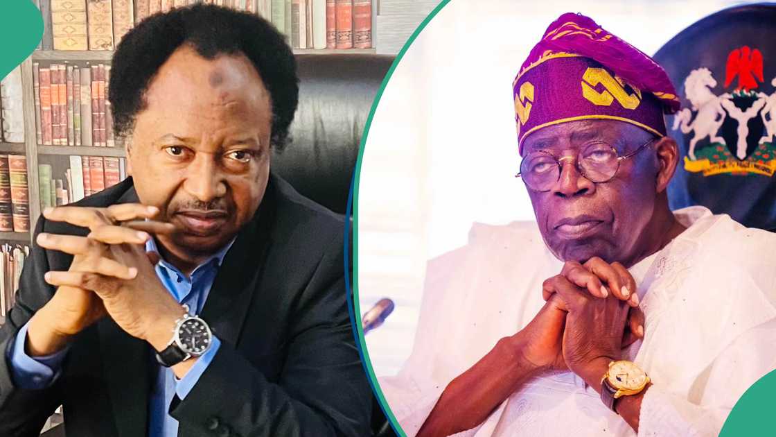 Shehu Sani backs Tinubu's 2nd term bid, slams northern elites