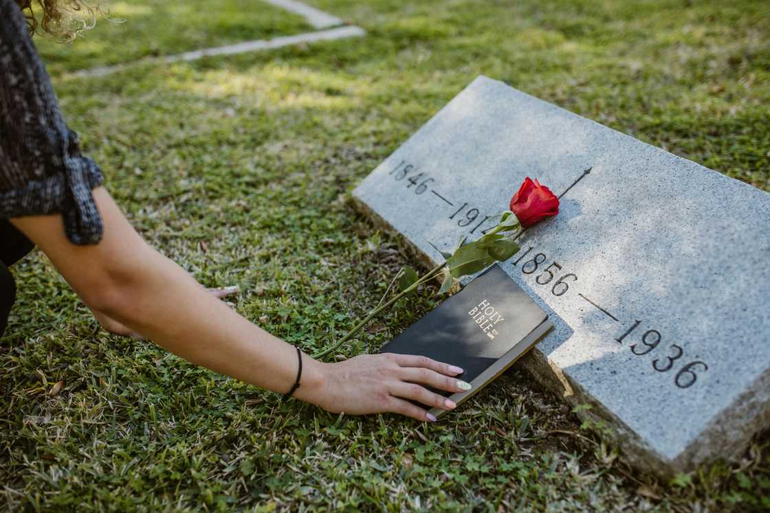 A person holding the Bible placed on a graveyard with a rose next to it