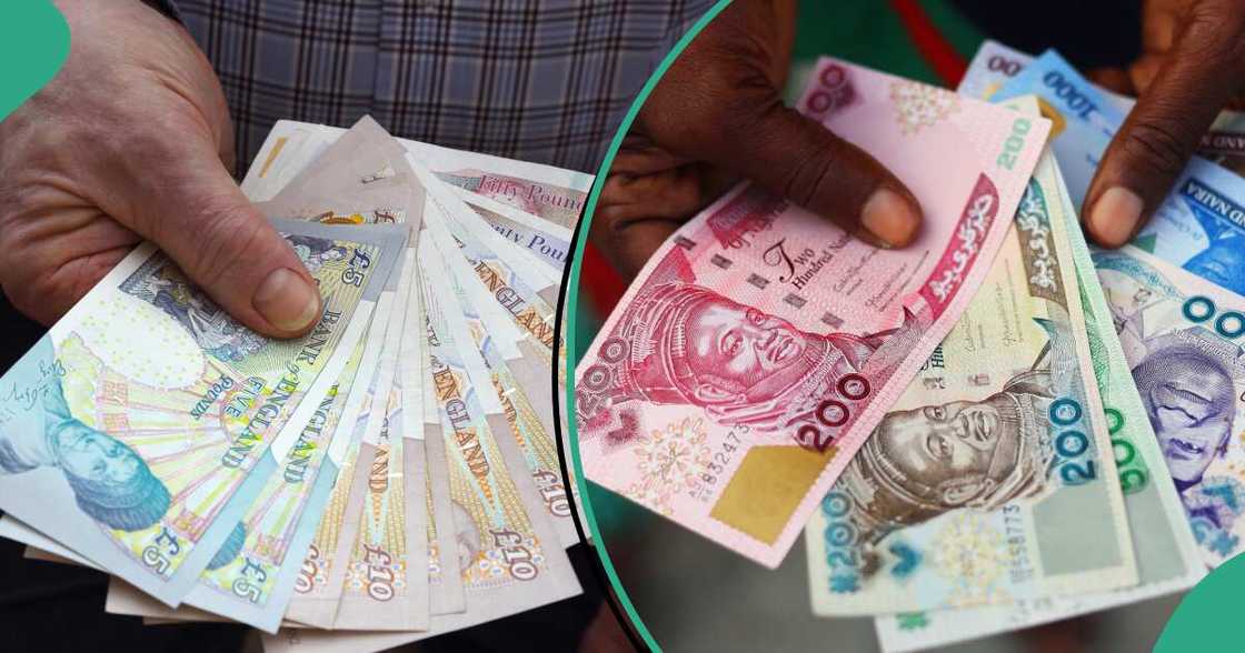 Naira gains against dollar, CBN Naira gains against dollar, CBN