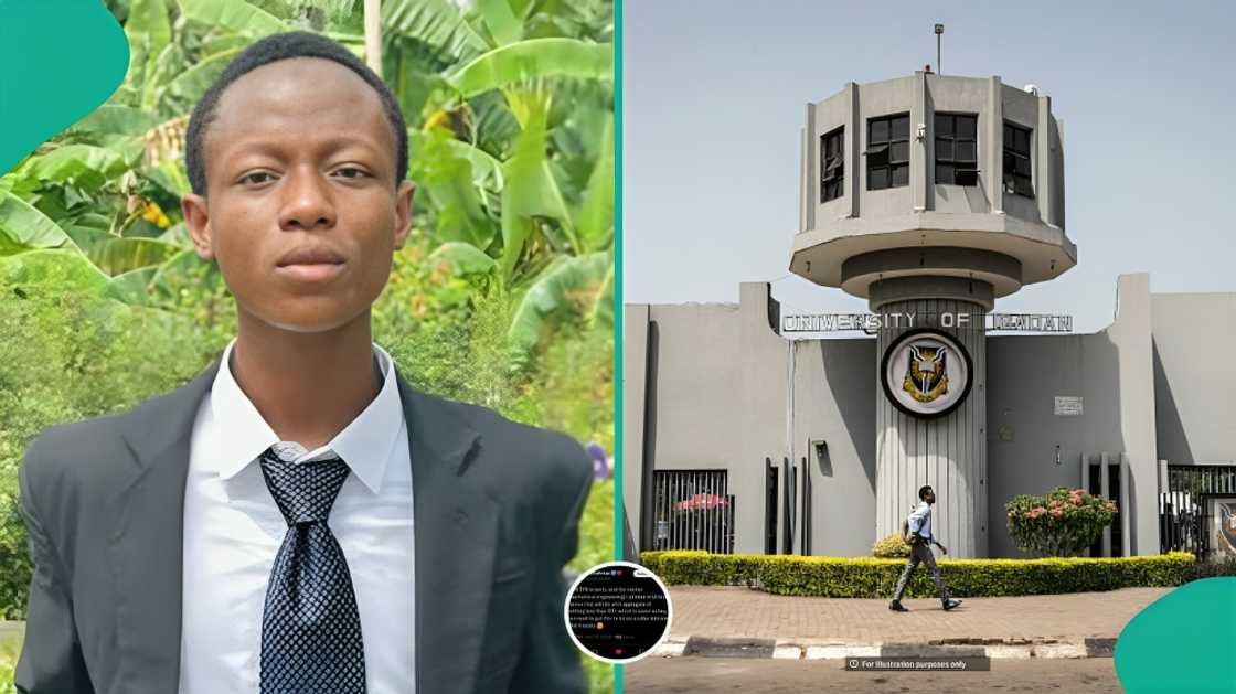 University of Ibadan student reveals JAMB and post-UTME scores for admission