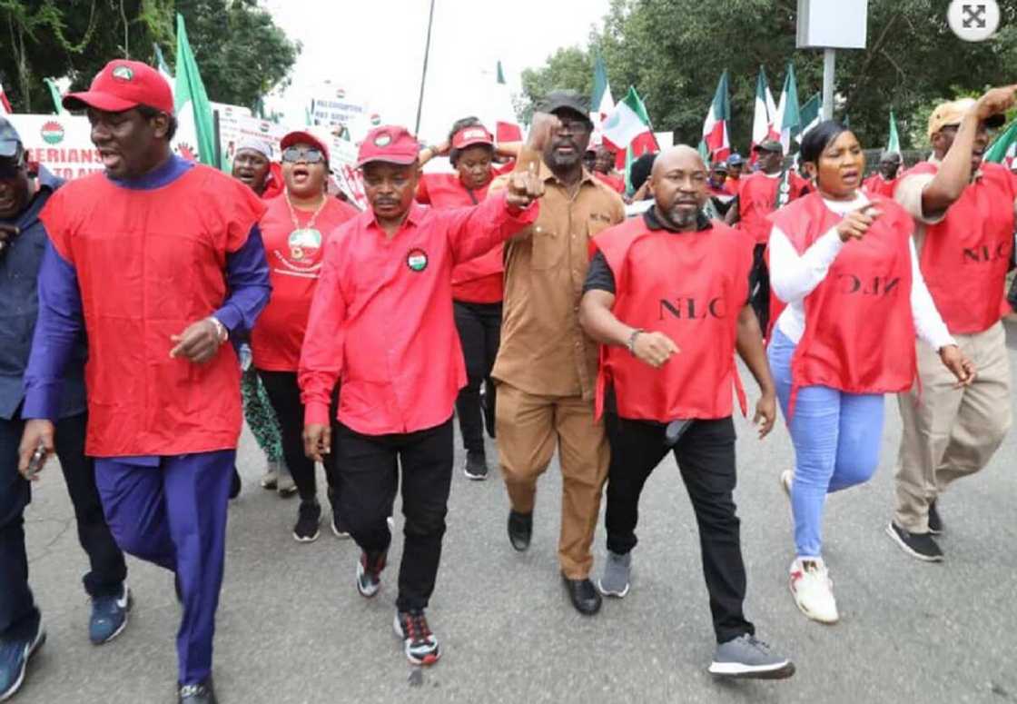 'Yan kwadago 'Yan kwadago