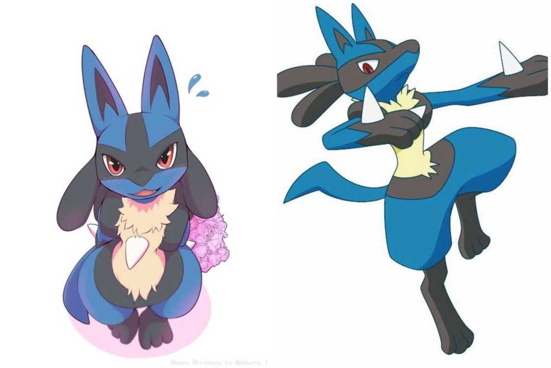 Cool-looking Pokemon Cool-looking Pokemon