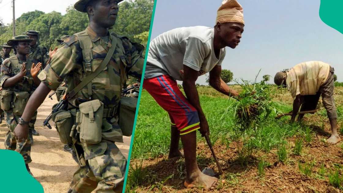 Panic erupts in a major northern state as armed attackers storm farmland and kidnap 12 farmers. Panic erupts in a major northern state as armed attackers storm farmland and kidnap 12 farmers.