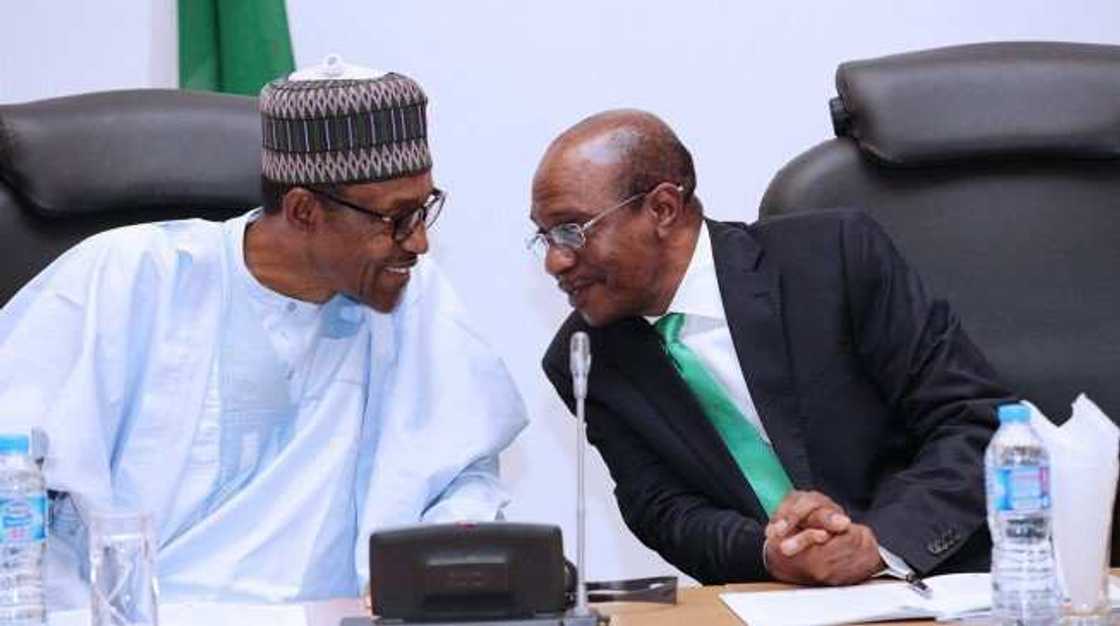 Buhari to CBN: Don't give a kobo on forex for food, fertilizer imports Buhari to CBN: Don't give a kobo on forex for food, fertilizer imports