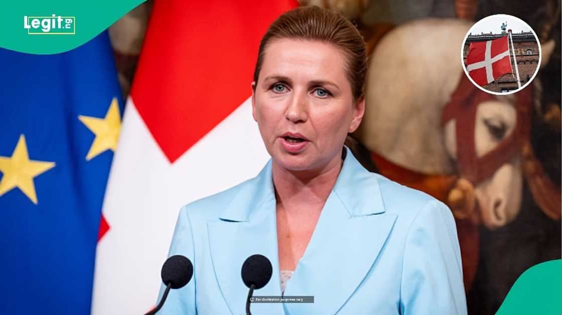 Denmark bars student permit holders from claiming 9 benefits Denmark bars student permit holders from claiming 9 benefits