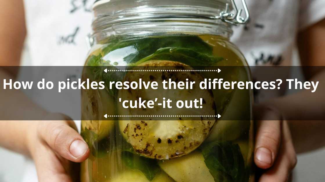 Funny puns about pickles