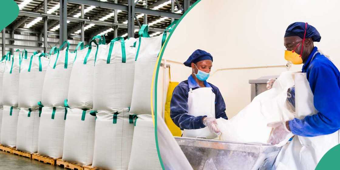 Sugar refinery, BUA Foods Sugar refinery, BUA Foods