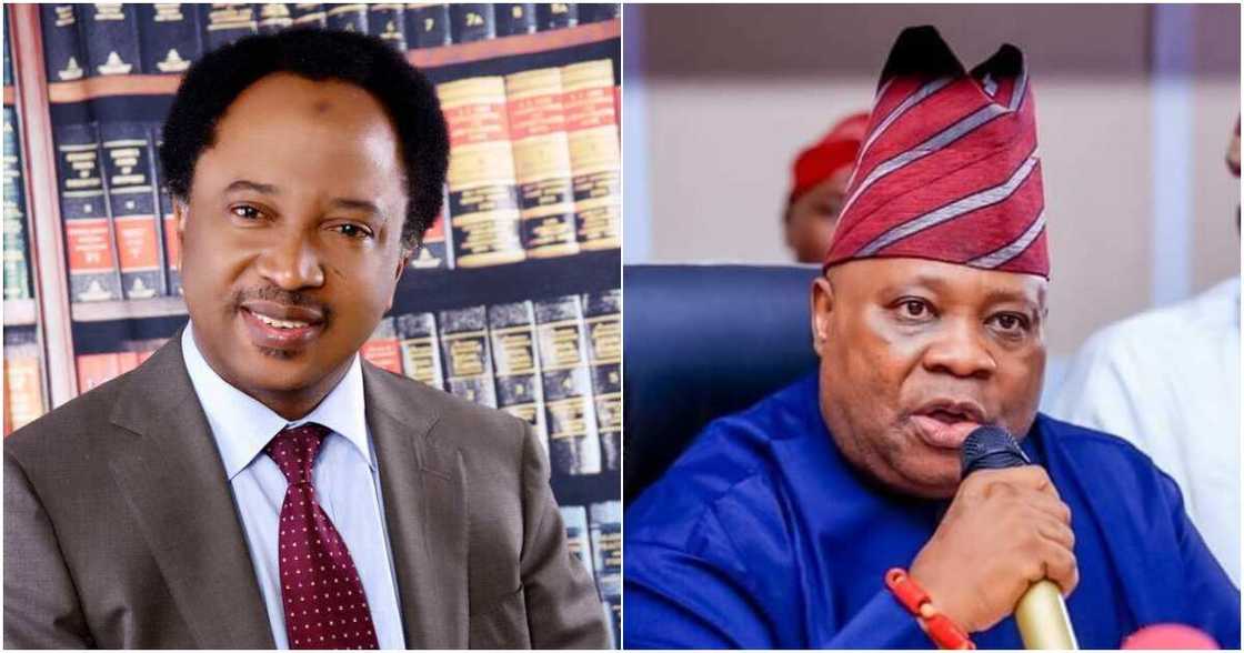 Senator Shehu Sani, Osun Election Tribunal, Ademola Adeleke, Governor of Osun State, Gboyega Oyetola Senator Shehu Sani, Osun Election Tribunal, Ademola Adeleke, Governor of Osun State, Gboyega Oyetola