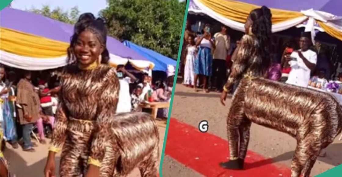 Lady designs animal-themed attire Lady designs animal-themed attire