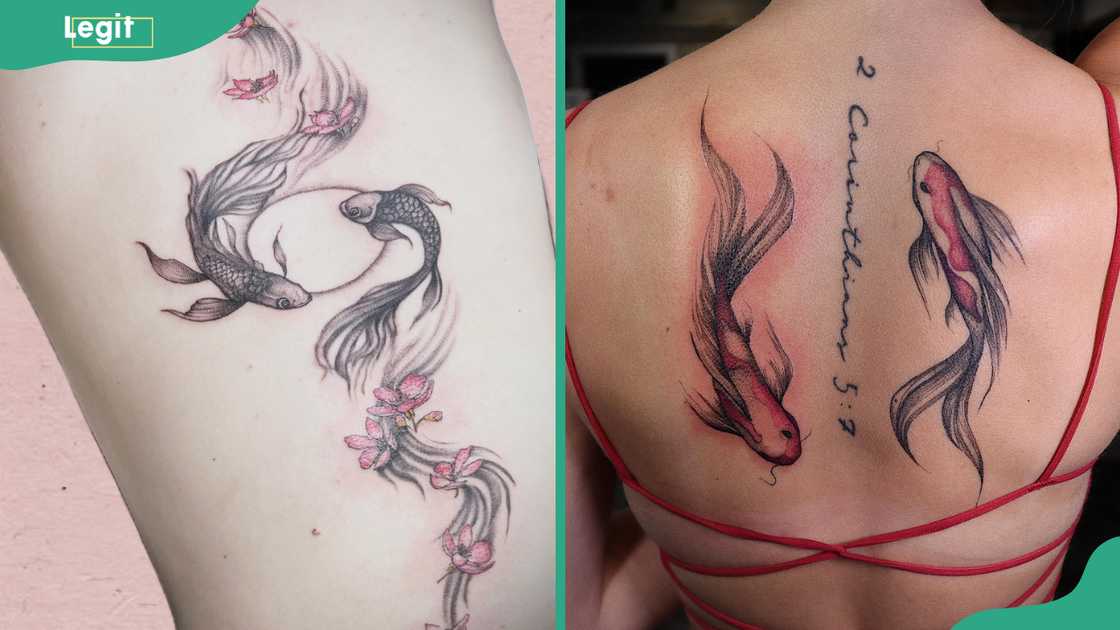 Koi fish spine tattoo