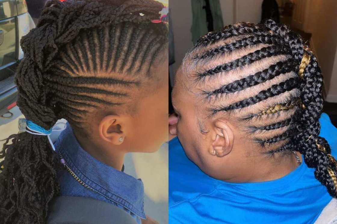 box braids