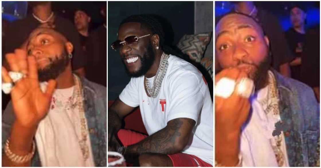 Photos of Davido and Burna Boy