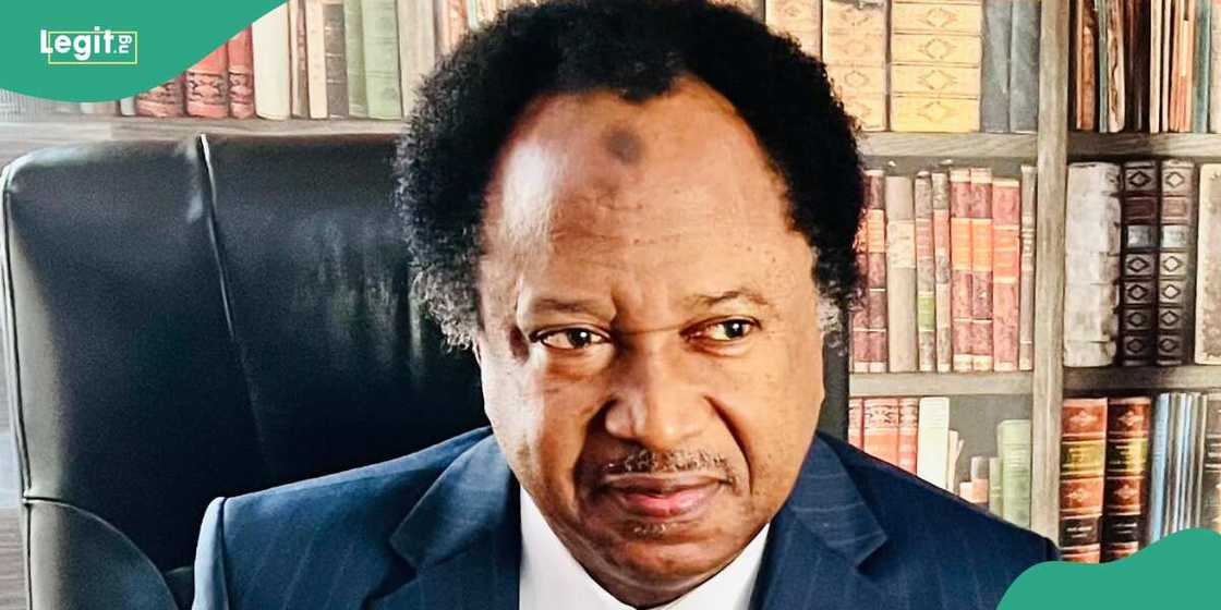 Shehu Sani, FCT residents, hunger, economic hardship, Abuja Shehu Sani, FCT residents, hunger, economic hardship, Abuja