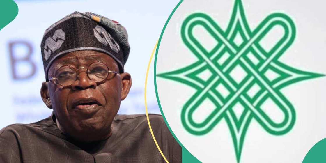 Arewa forum speak on Tinubu's new anthem Arewa forum speak on Tinubu's new anthem