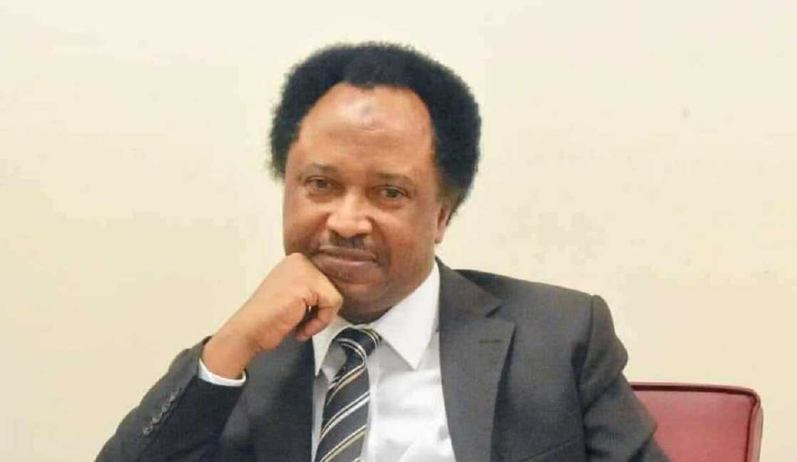 Kaduna Governorship, 2023 Election, Delegates, Shehu Sani Declares Ahead of Primary Kaduna Governorship, 2023 Election, Delegates, Shehu Sani Declares Ahead of Primary