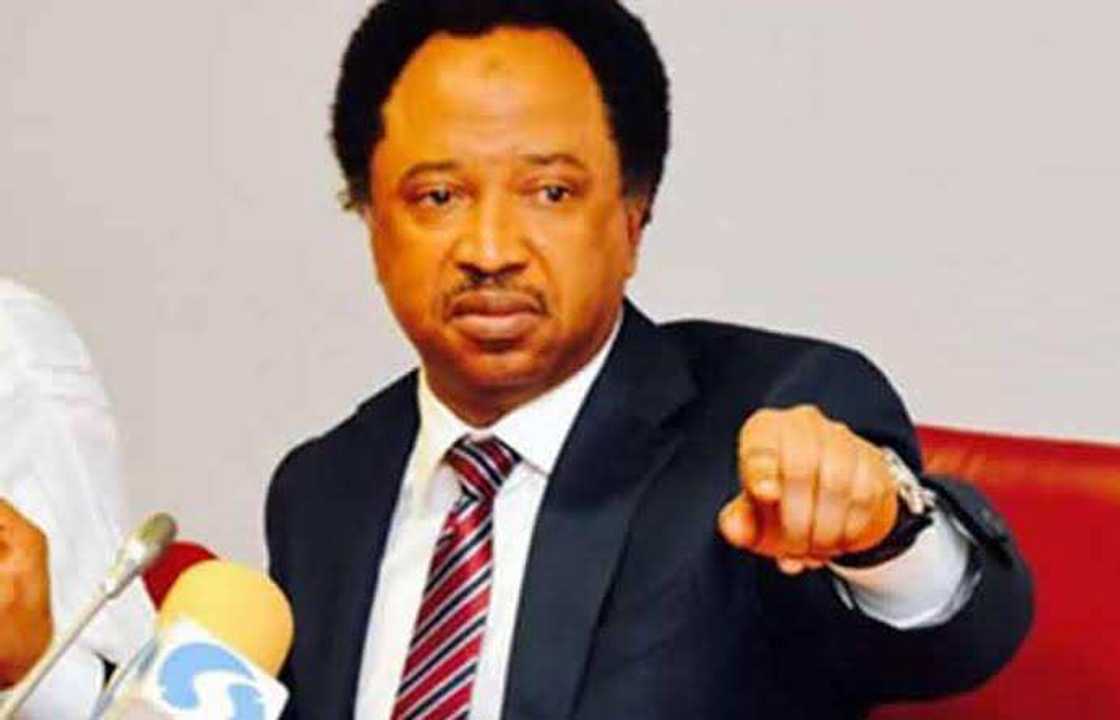 Sanata Shehu Sani Sanata Shehu Sani