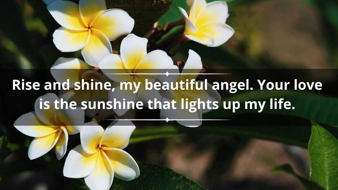 Heart-touching good morning messages for my wife Heart-touching good morning messages for my wife