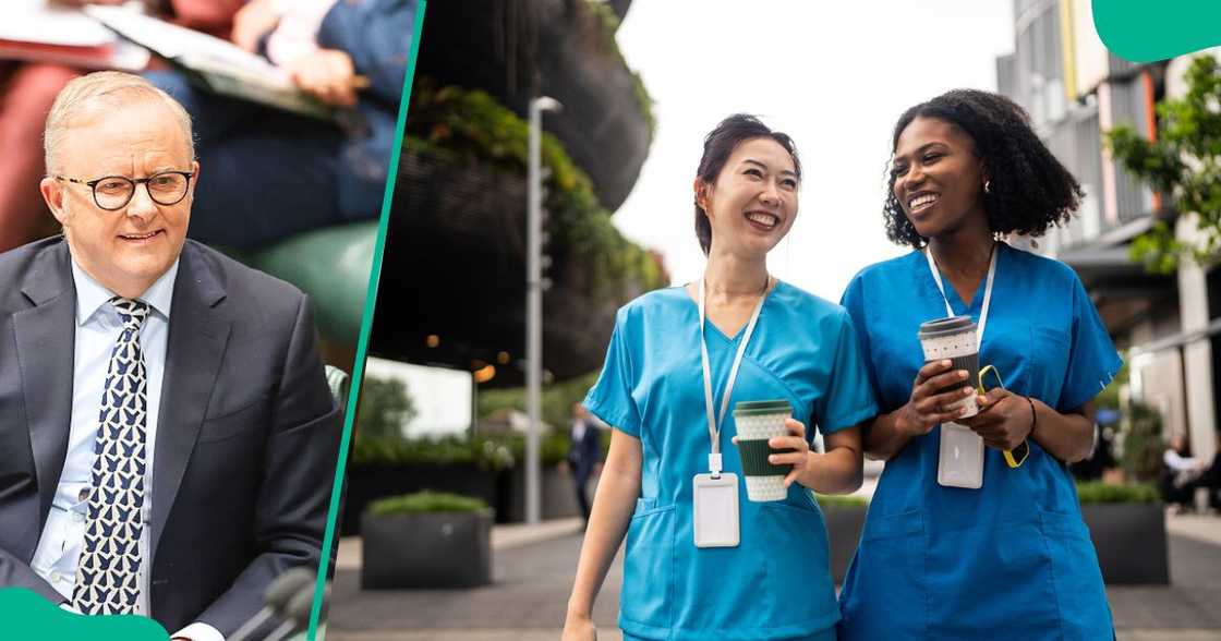 Australia's new work visa exceeds three countries, new fees for post-work visa