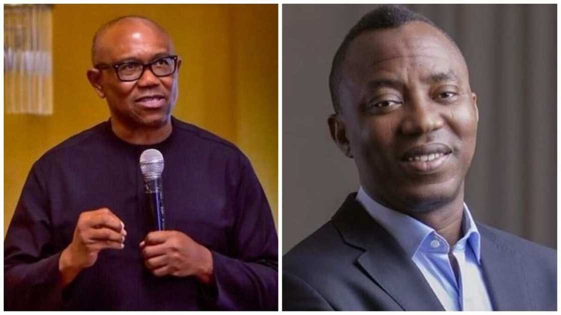 Peter Obi, Omoyele Sowore, 2023 presidential election, Labour Party, Amanbra state Peter Obi, Omoyele Sowore, 2023 presidential election, Labour Party, Amanbra state