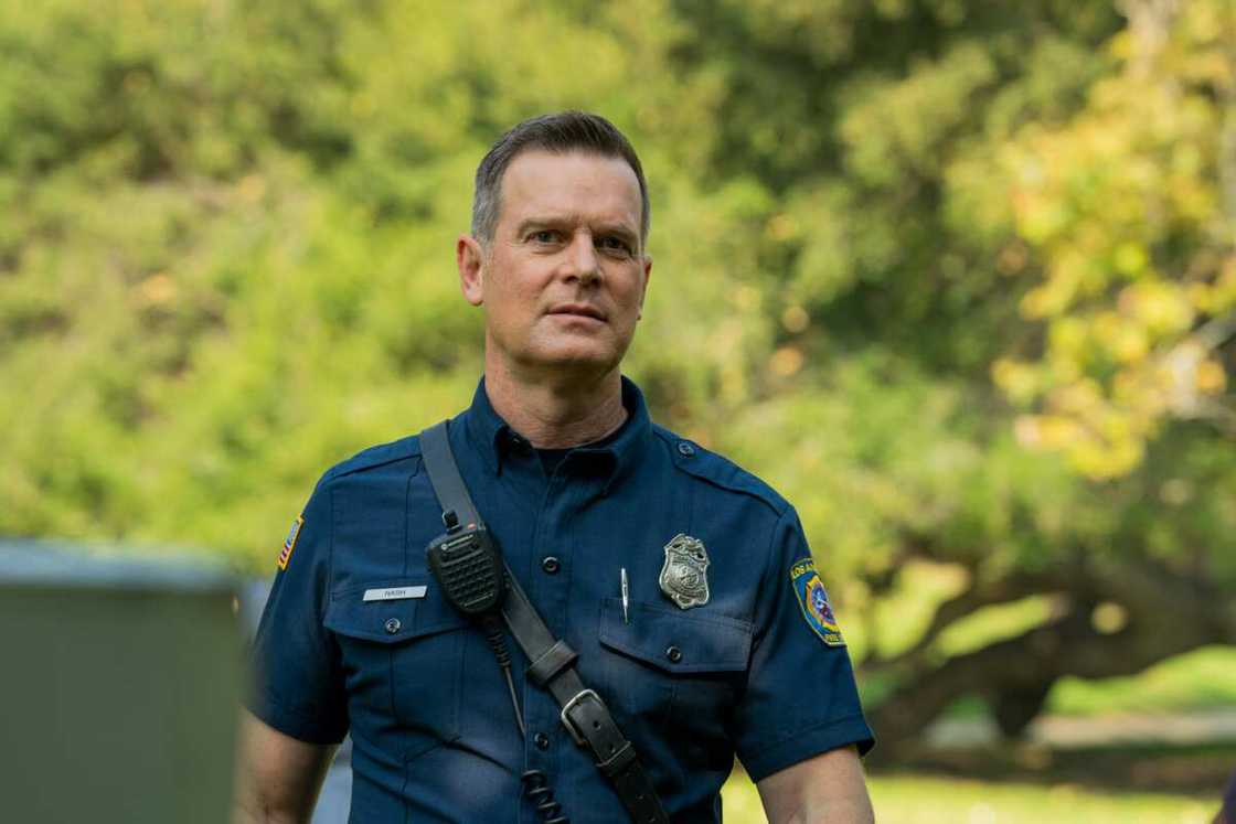 alicia witt married to peter krause alicia witt married to peter krause